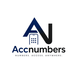 AccNumbers Logo