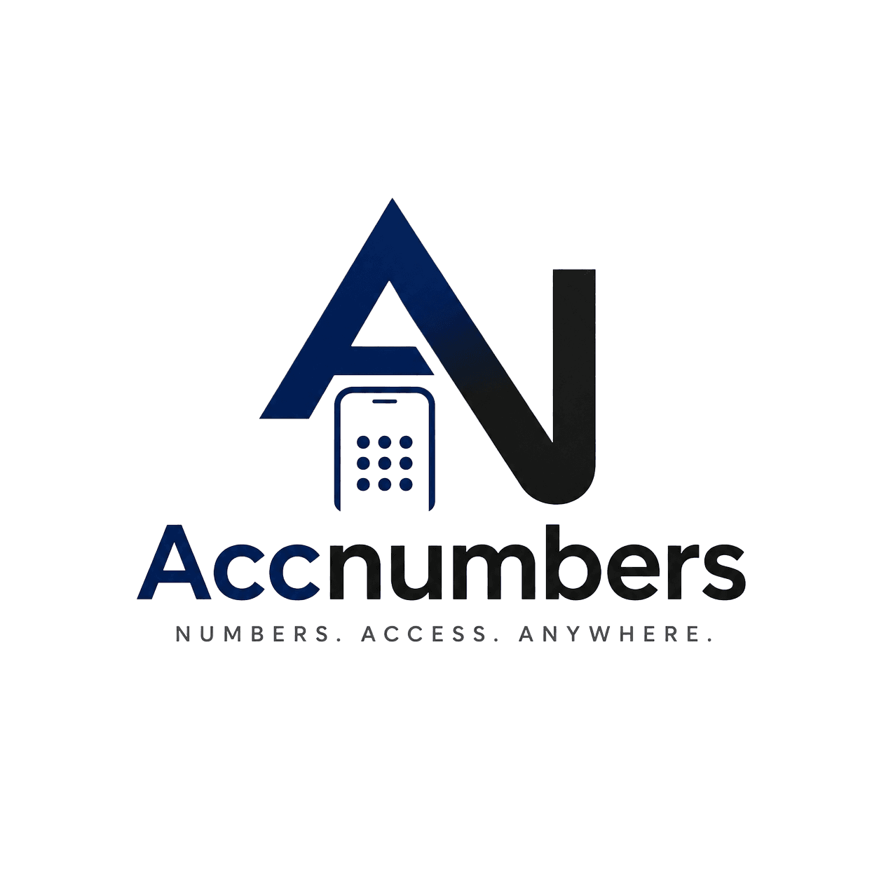 AccNumbers Logo